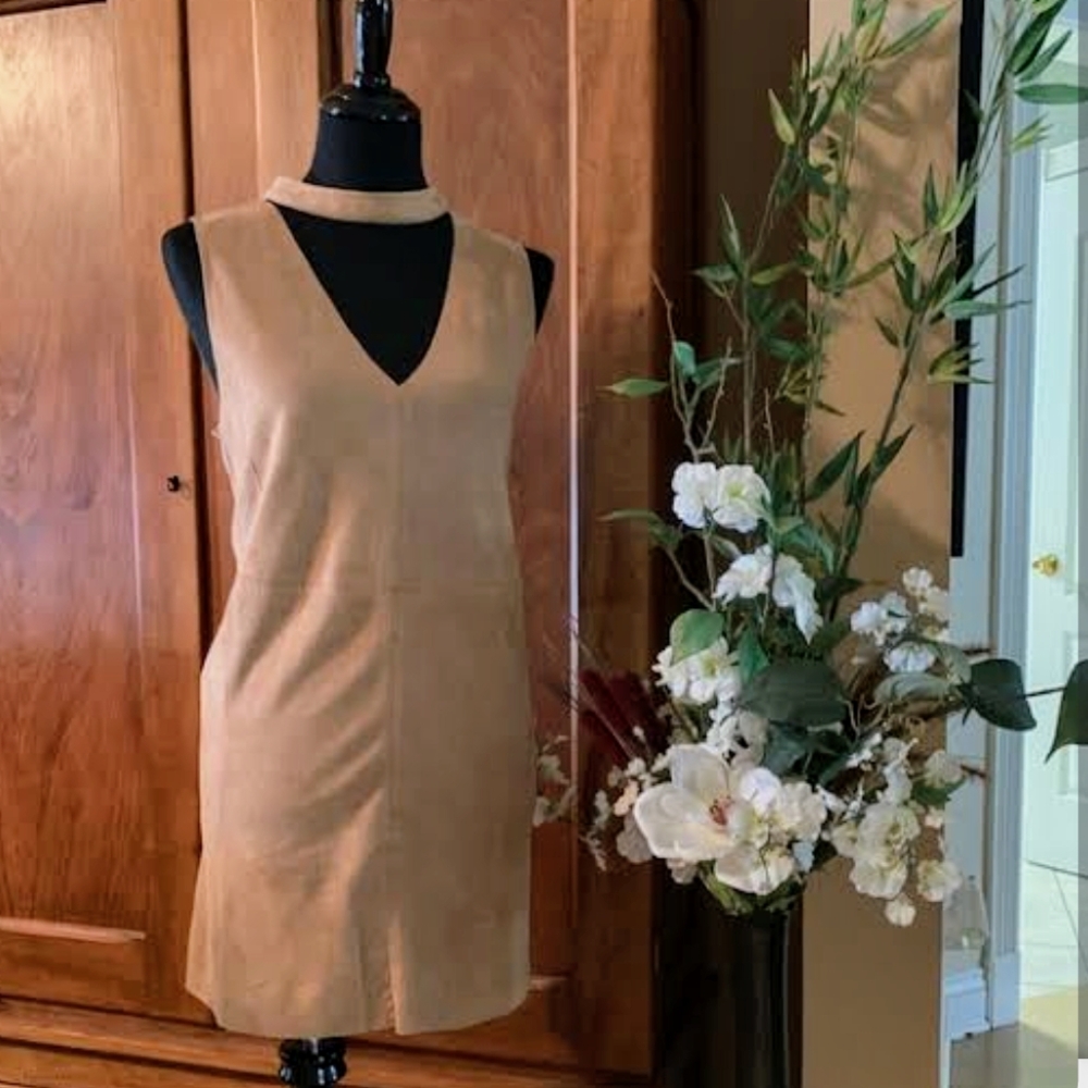 Sadie & Sage Tan V-Neck Mini Dress